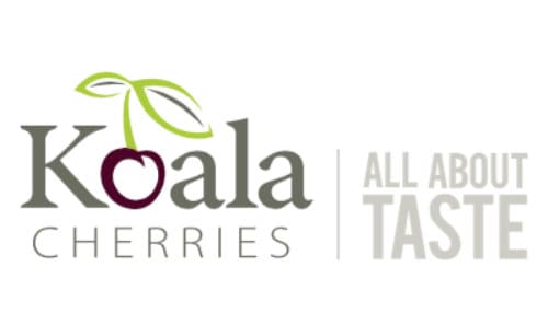 Koala-Cherries Koala-Cherries